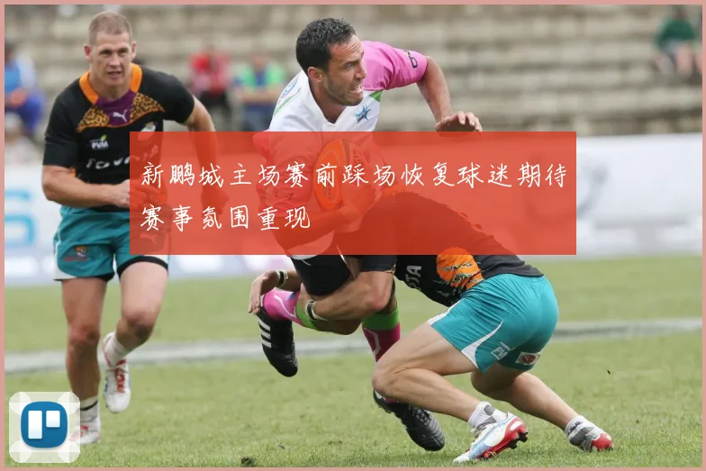 新鹏城主场赛前踩场恢复球迷期待赛事氛围重现