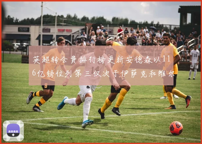 英超转会费排行榜更新安德森以116亿镑位列第三仅次于伊萨克和维尔茨
